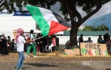 Rassemblement pour la paix en Palestine
