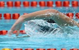 meeting natation 2015