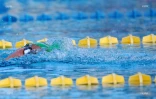 meeting natation 2017