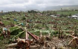 Garance : La Réunion, l'île en phase de sauvegarde