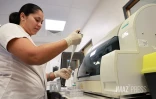  chikungunya analyse sang 