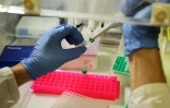 laboratoire Pimit 