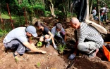Initiation à la plantation pour les élèves du Petit Tampon