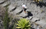 Grand Raid 2026