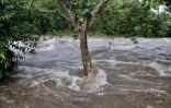 cyclone Berguitta 