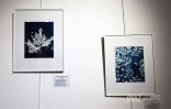 expo le songe bleu 