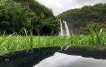 Cascade Niagara