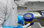 Des oeufs d'esturgeons, une fois tamisés, triés, lavés, salés et séchés, sont mis en boîte par un technicien du domaine de Neuvic, en Dordogne, le 24 octobre 2016