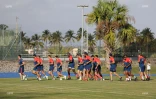 XV France entraînement 29 mai 2017