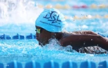 Championnat de natation de La Réunion