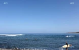 Surf