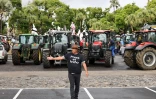 blocage planteurs