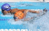 Natation