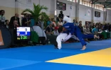 Judo 