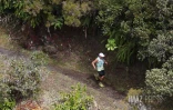 Grand raid 2025