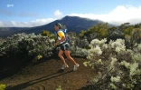 Grand Raid 2003
