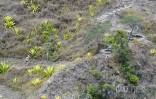 Grand Raid 2026