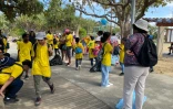 Saint-Pierre : un mouvement en faveur de l'écologie avec l'opération clean up