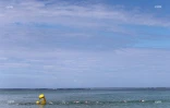 swim run 
