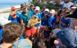 La Saline : après deux mois de convalescence, la tortue Timlie regarde l'océan