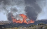Incendie au Maïdo 