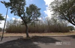zone economique de la plaine de Gillot