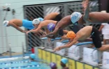 Natation 