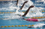 championnat de la réunion 2017