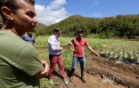 Garance : La Réunion, l'île en phase de sauvegarde