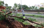Cyclone Belal 