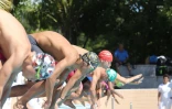 natation championnat de la réunion 