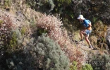 Grand Raid 2022