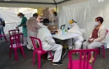 dépistage coronavirus 