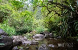 Cascade Biberon 