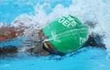 meeting natation 2017