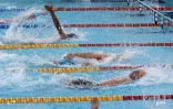 25ème meeting de natation de l\\\'océan Indien
