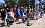 L'Hermitage : après quatre mois de convalescence, la tortue Epoi retrouve l'océan [?]