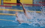 Championnat de natation de La Réunion
