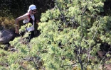 grand raid 2013