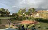 parc boisé au port 
