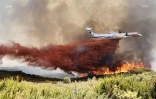 Incendie du Maïdo 8 novembre 2020