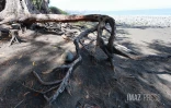Réhabilitation de la plage de Cambaie