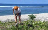TCO : balades guidées et petit déjeuner en bord de mer