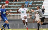Coupe de France