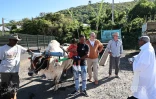 Baptême des couteaux à Saint-Pierre avant la campagne sucrière dans le sud