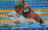 natation 
