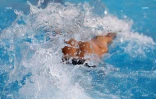 meeting championnat de la reunion 2018
