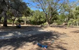 Saint-Pierre : une cinquantaine d'individus armés de sabres et de "boules de feu" sèment le trouble