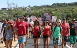 Manifestation contre la crise requins à Saint-Leu