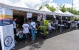 Saint-Paul : sensibilisations aux violences conjugales et intrafamiliales
